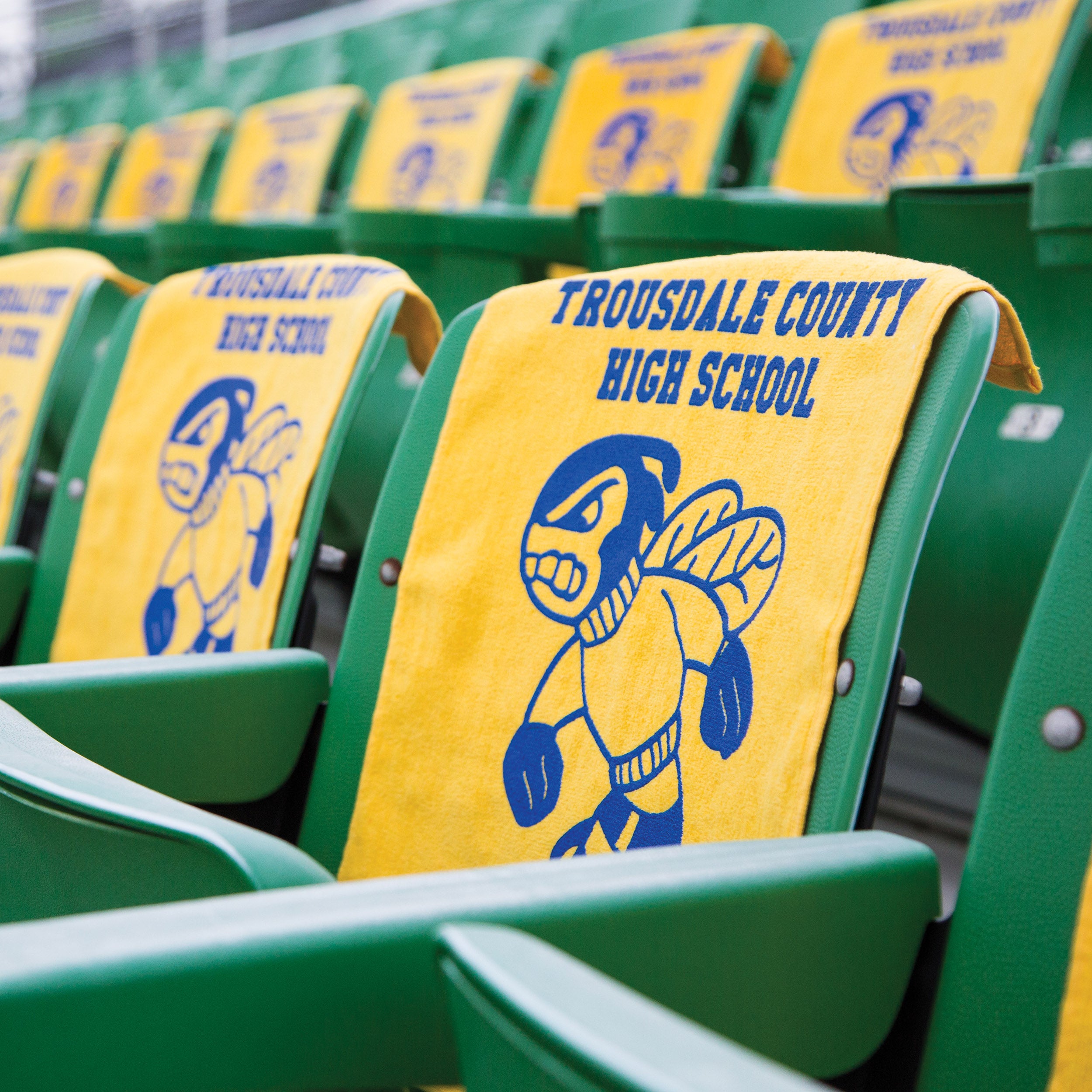 Bulk Personalized Jewel Collection Soft Touch Sport/Stadium Towel